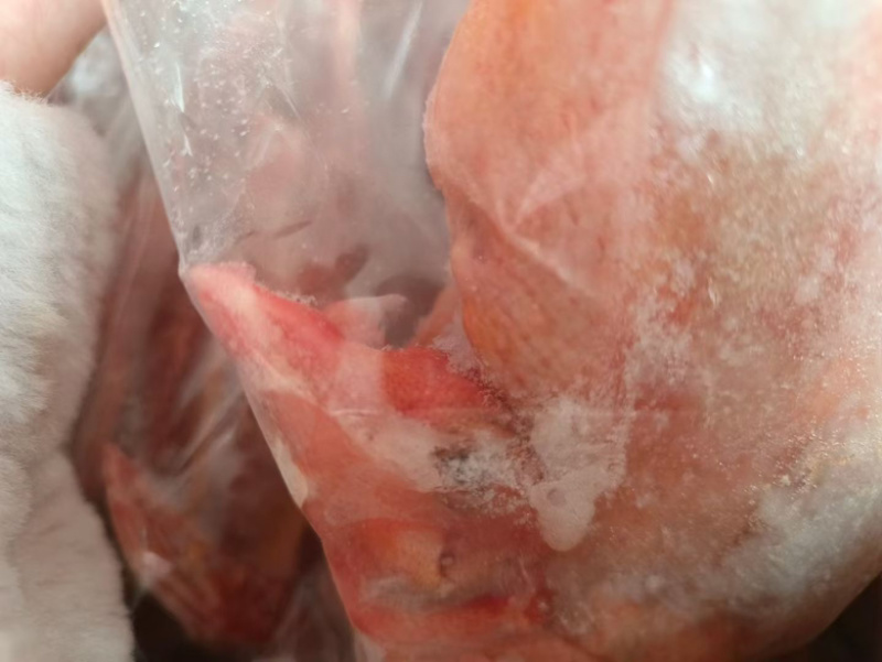 乳鸽，规格齐全，半净膛，工厂直销，全国冷链物流发货！！！