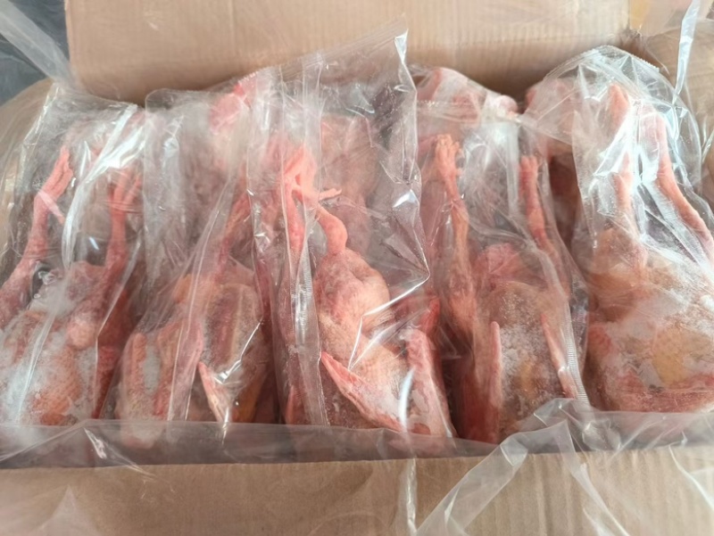 乳鸽，规格齐全，半净膛，工厂直销，全国冷链物流发货！！！