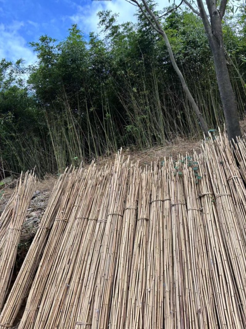 搭架竹