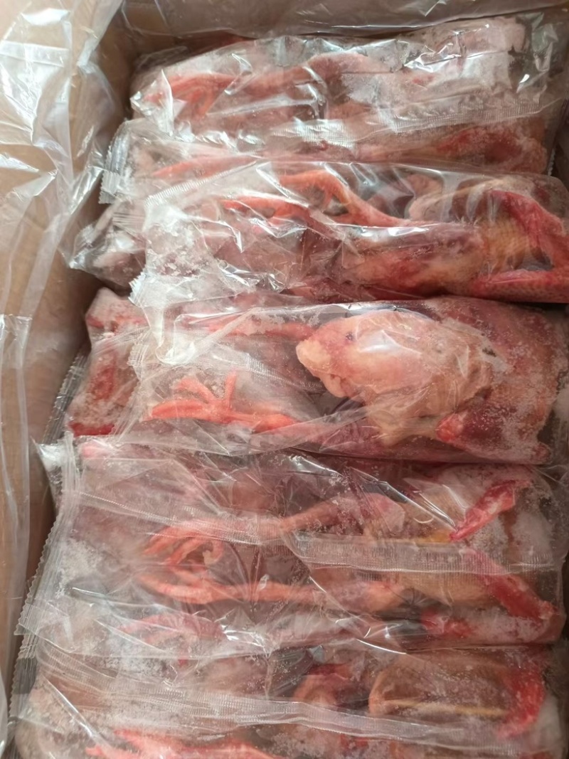 乳鸽，规格齐全，半净膛，工厂直销，全国冷链物流发货！！！
