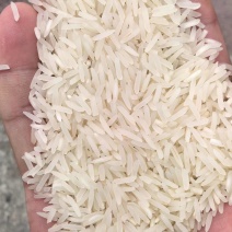 25年5298长粒香米