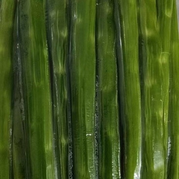 精品莴笋杆