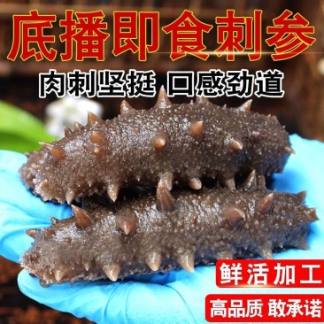 【实力商家】青岛海参即食海参品质保证支持一件代
