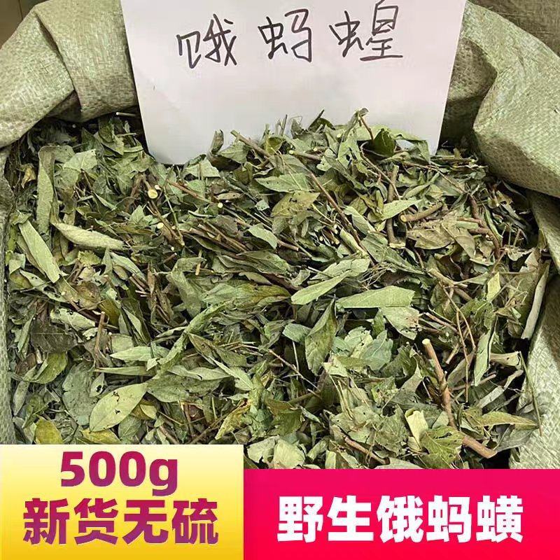 饿蚂蟥中药材包邮批发零售产地一手货源有大货小槐花