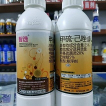 汤普森~智选25%甲硫己唑醇~水稻纹枯病正品农药杀菌