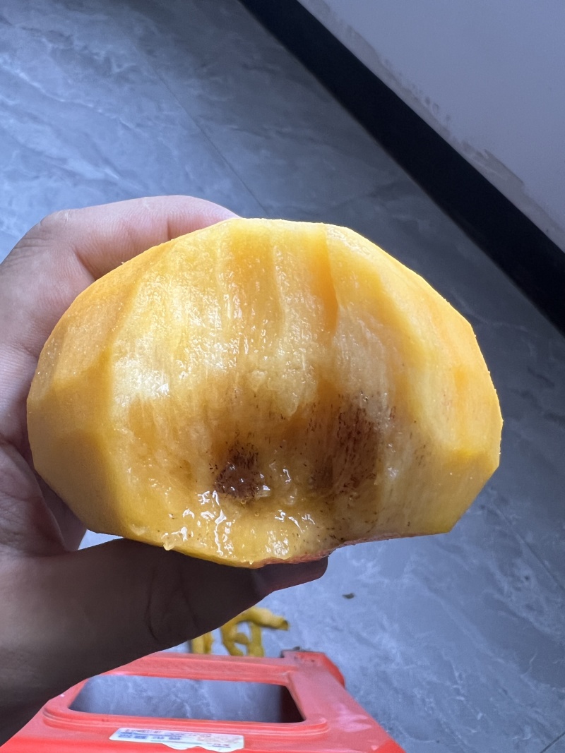 恭城脆柿整件！电商代发！商超果，出口果都有