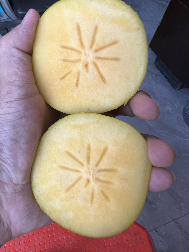 恭城脆柿整件！电商代发！商超果，出口果都有