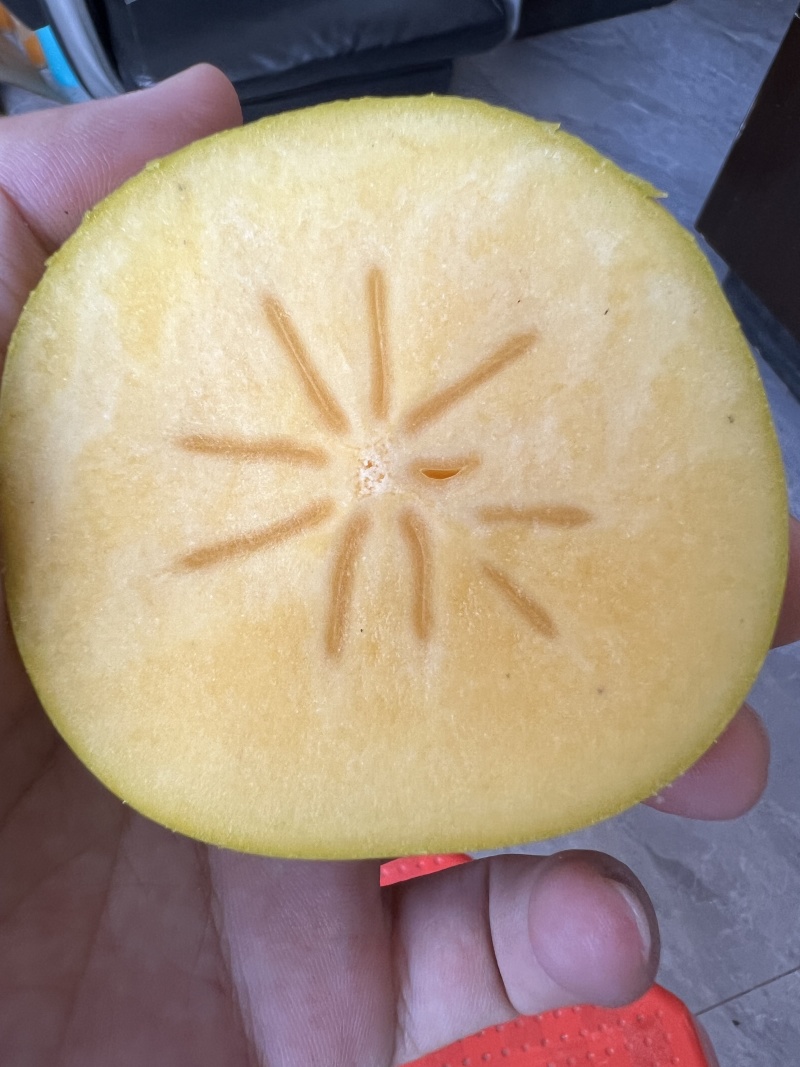 恭城脆柿整件！电商代发！商超果，出口果都有