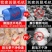 家禽脱毛机（包邮）65型鸡鸭全自动不锈钢商用拔毛机打毛机