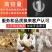 家禽脱毛机（包邮）65型鸡鸭全自动不锈钢商用拔毛机打毛机