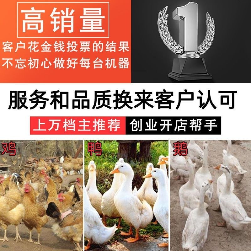家禽脱毛机（包邮）65型鸡鸭全自动不锈钢商用拔毛机打毛机