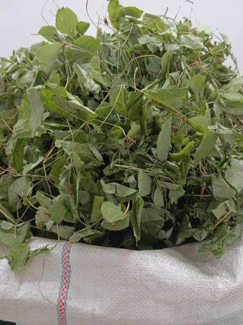 甘肃小圆叶淫羊藿质量好一手货源全国接单发货实力