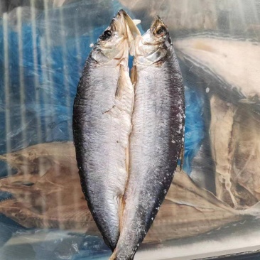 青鱼干，深海鲜鱼低盐造，高空晾晒环境好，卫生健康味道美