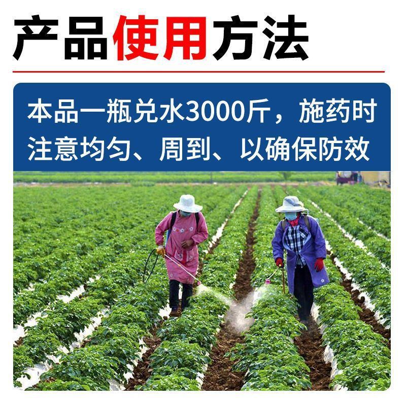 汤普森~胖村长24-表芸.氯化胆花生调节生长植物生长调节