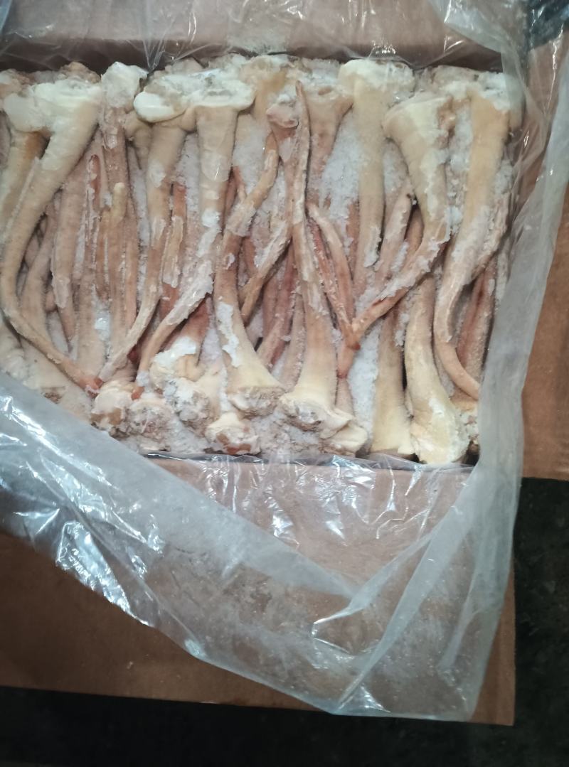 长尾