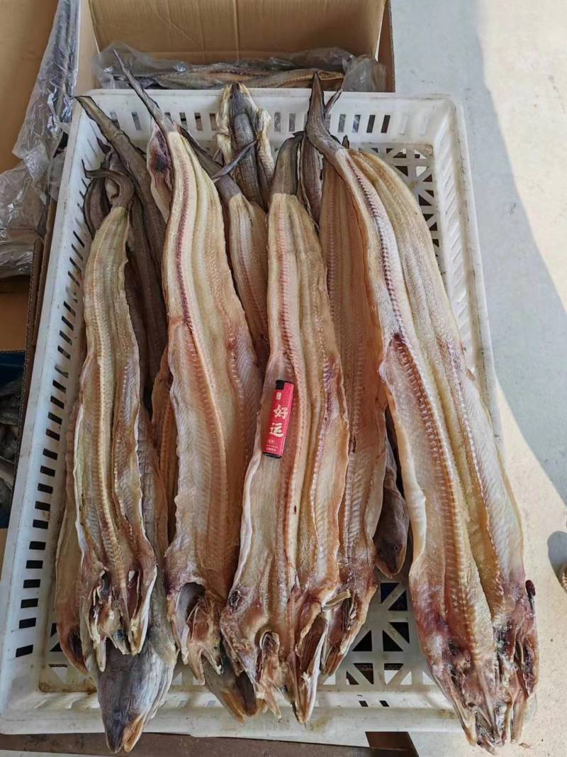 鳗鱼干，低盐深海鱼，空中自然干