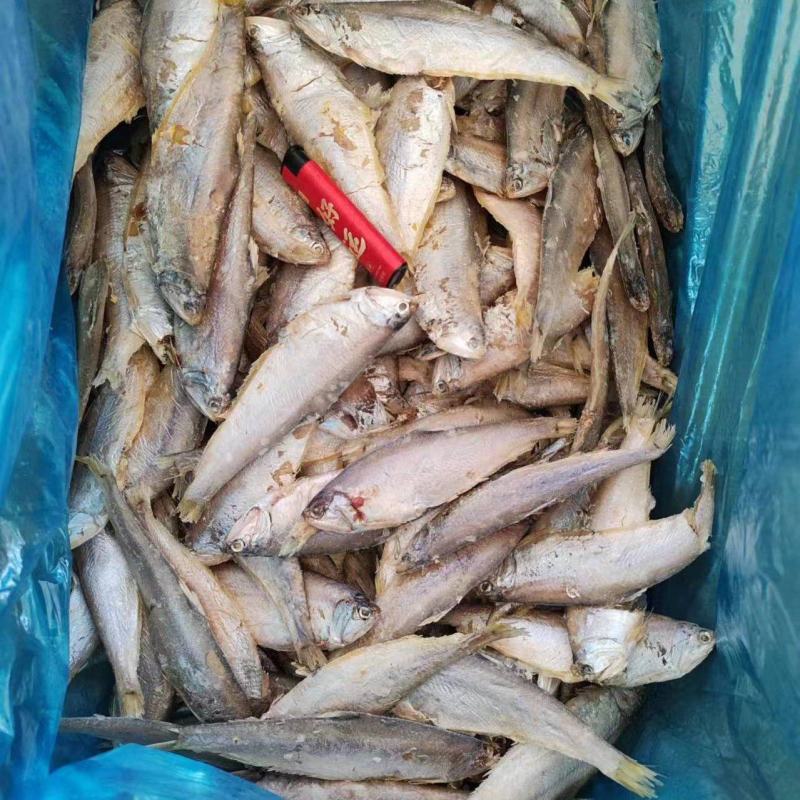 毛扣干，低盐深海鱼，空中自然干