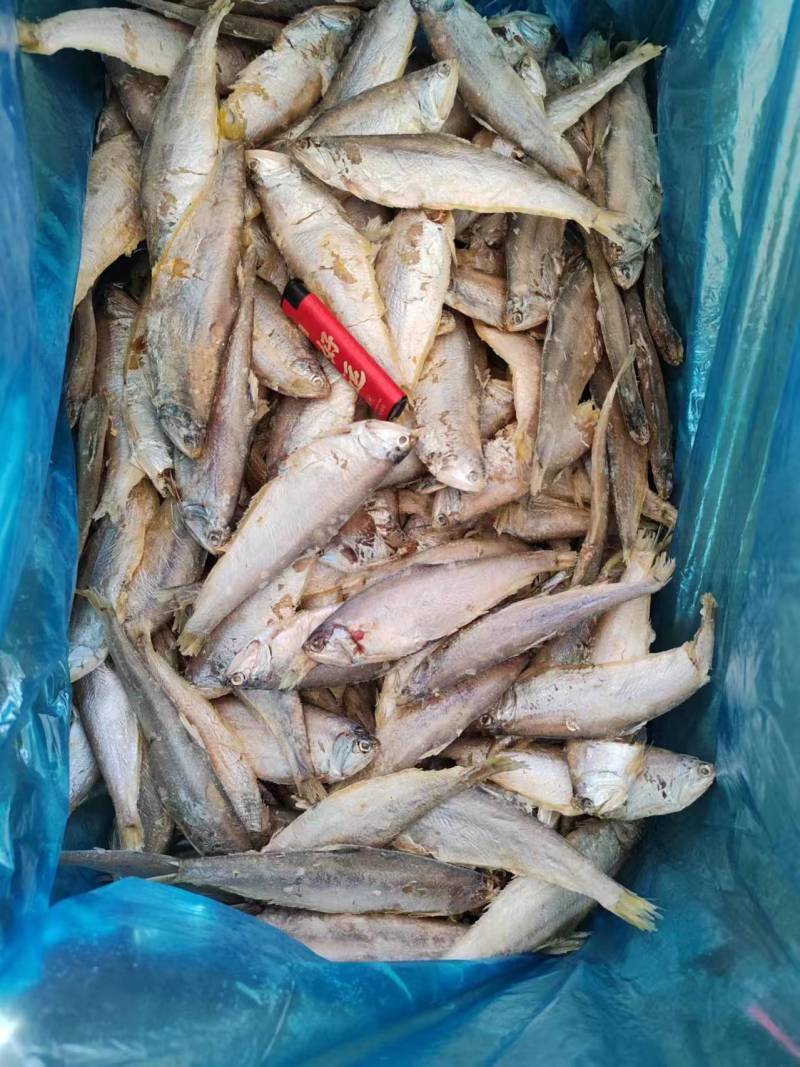 毛扣干，低盐深海鱼，空中自然干