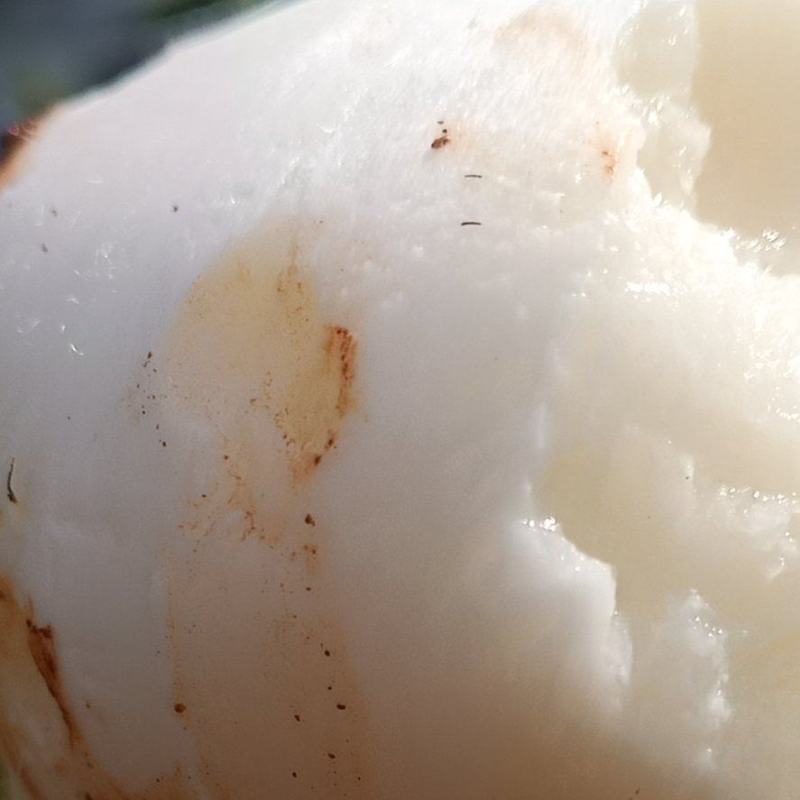 红土种的冕宁里庄水果土瓜自己家的