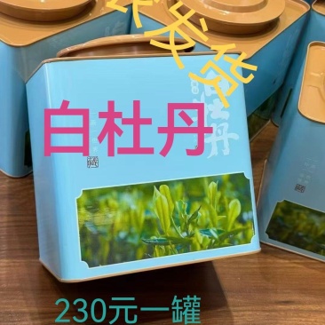 白杜丹