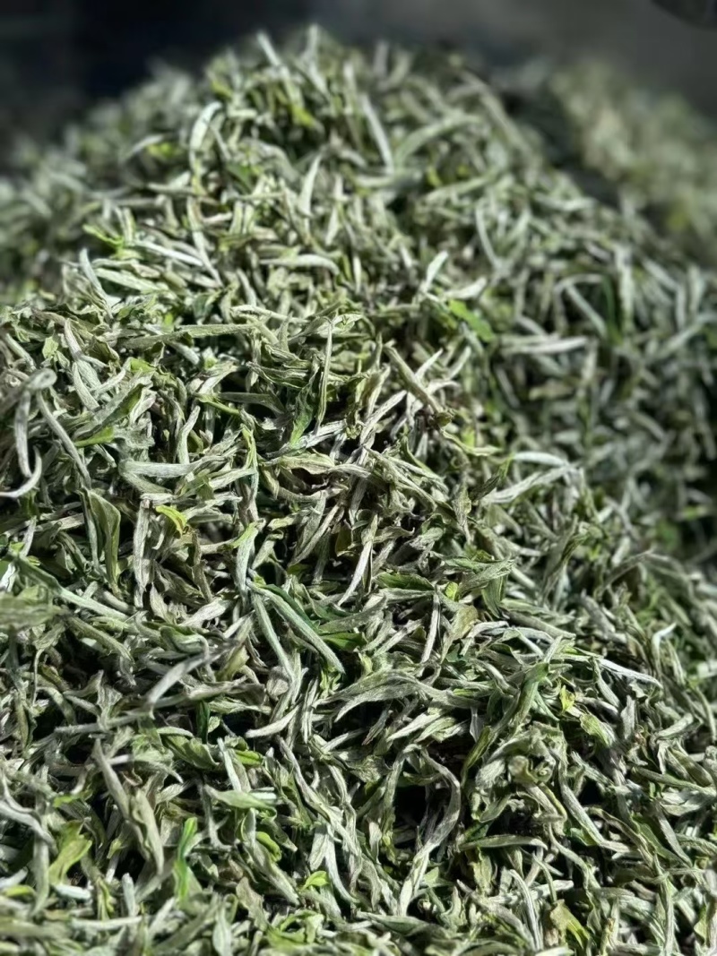 白杜丹