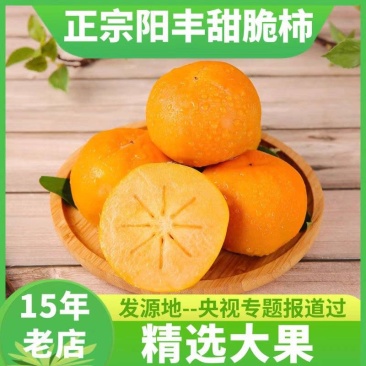 【推荐】山西柿子/阳丰甜脆柿/自家基地/整车发货