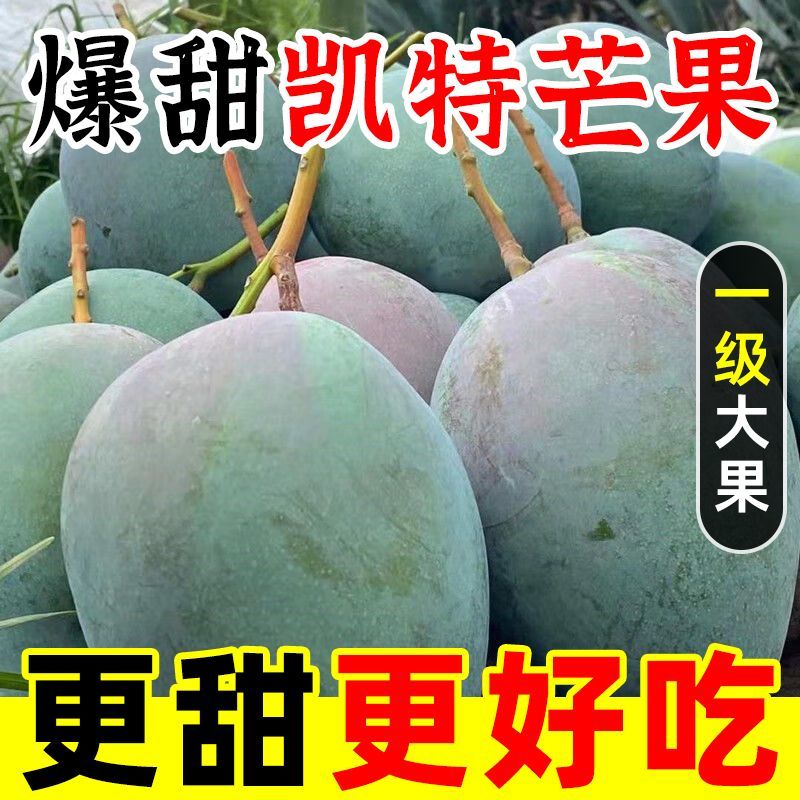 一件代发凯特芒果攀枝花超甜大青新鲜水果应季非金煌贵妃台农