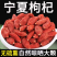 【一件代发】大颗粒红枸杞产地直发品质保证可视频看货