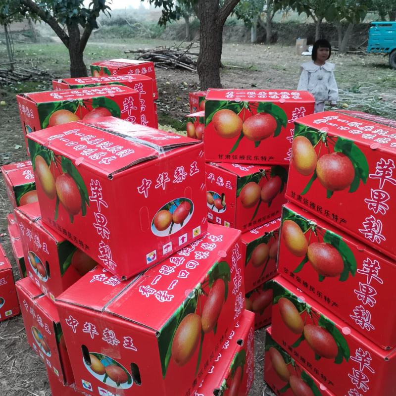 甘肃民乐苹果梨香脆特甜，个大果型好看