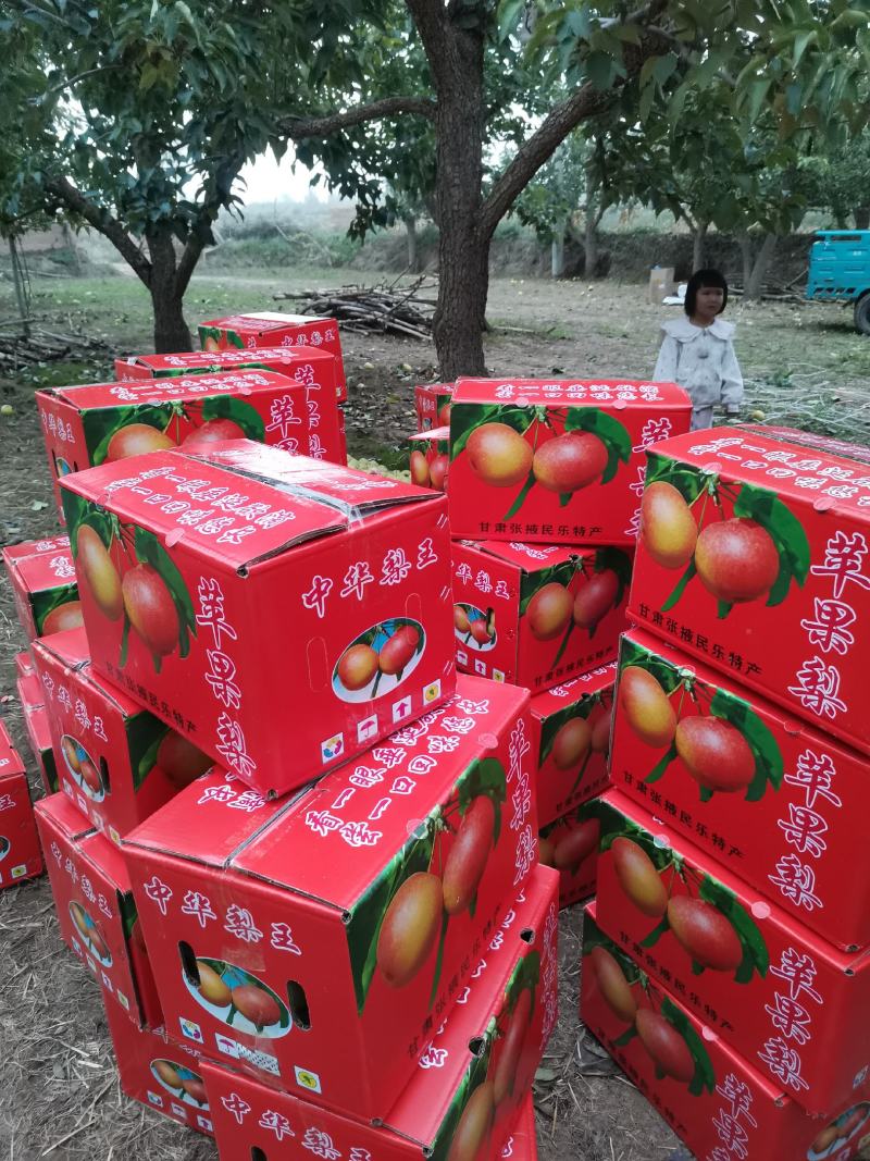 甘肃民乐苹果梨香脆特甜，个大果型好看