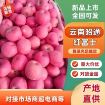 云南昭通红富士脆甜苹果一手货源产地直供