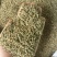 大机器新疆孜然，干度好，无杂质，原包货，产地一手货源