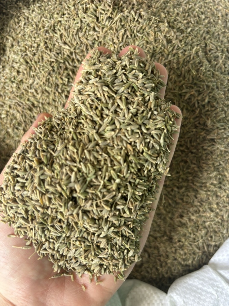 大机器新疆孜然，干度好，无杂质，原包货，产地一手货源