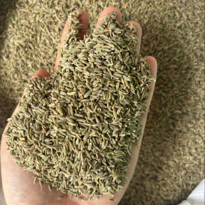 大机器新疆孜然，干度好，无杂质，原包货，产地一手货源