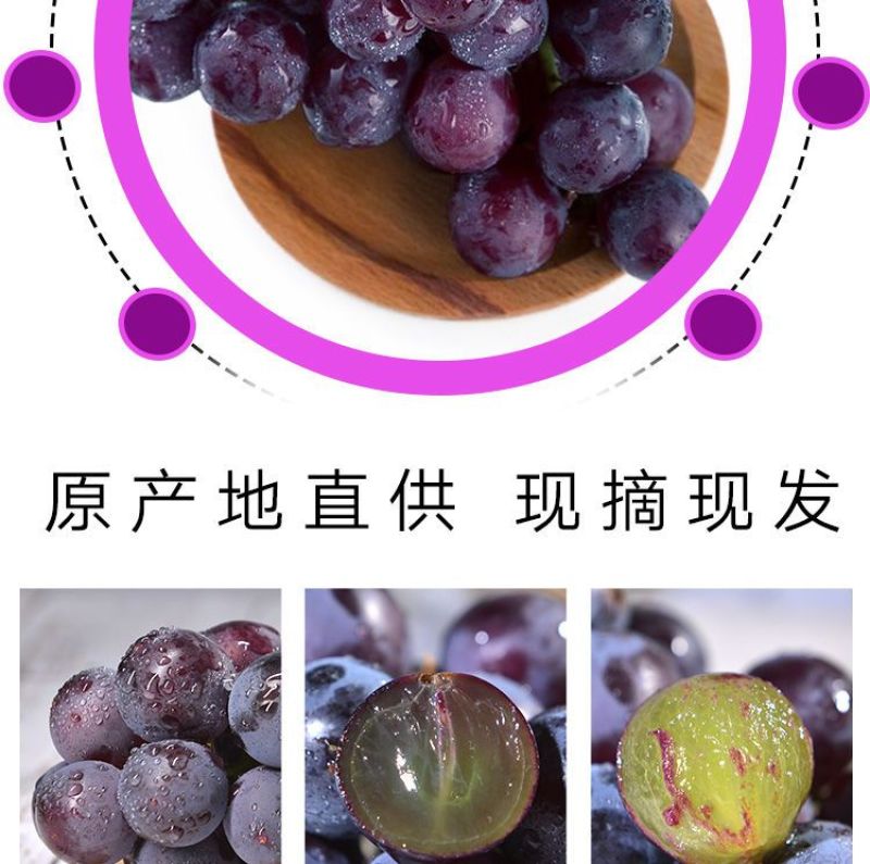 巨峰葡萄新鲜3斤/5斤东北农家大葡萄夏季水果包邮