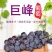 巨峰葡萄新鲜3斤/5斤东北农家大葡萄夏季水果包邮