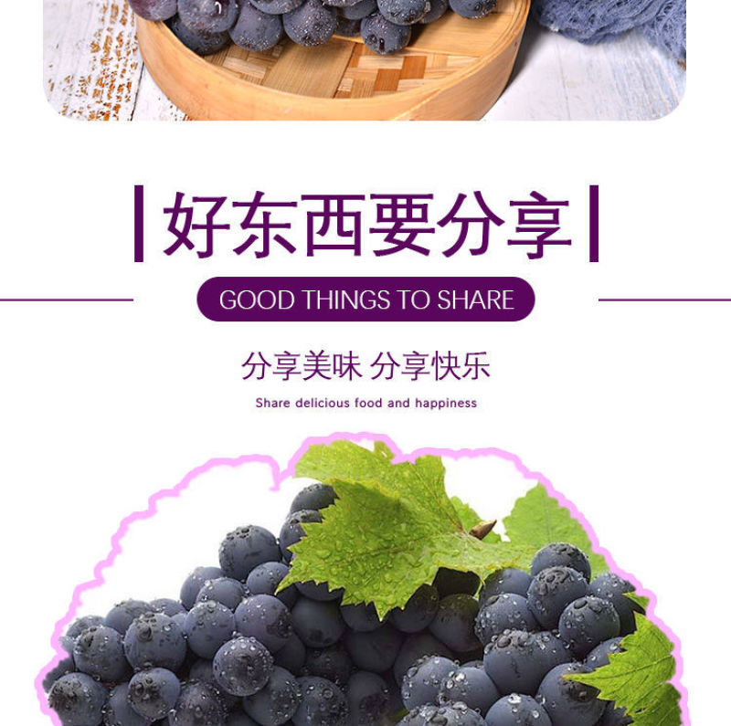 巨峰葡萄新鲜3斤/5斤东北农家大葡萄夏季水果包邮