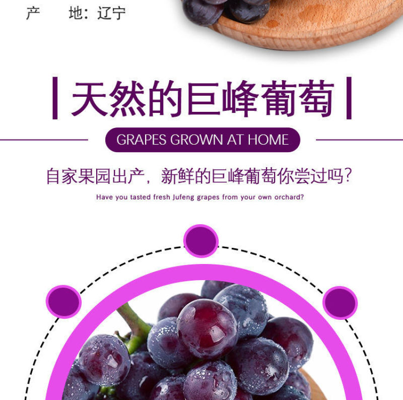 巨峰葡萄新鲜3斤/5斤东北农家大葡萄夏季水果包邮