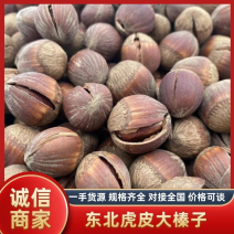 手拍开口大榛子虎皮榛子东北特产零食坚果干果代发皮溥包邮