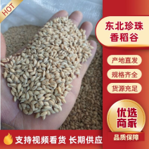 1.梅河口新稻谷皇粮之乡直供量大从优鲜米机专用水稻