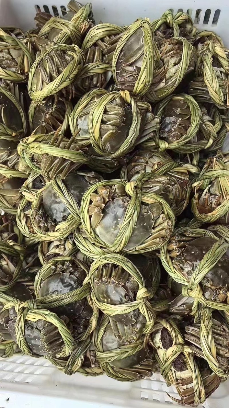 大闸蟹礼盒装新鲜供应视频看货规格种类齐全