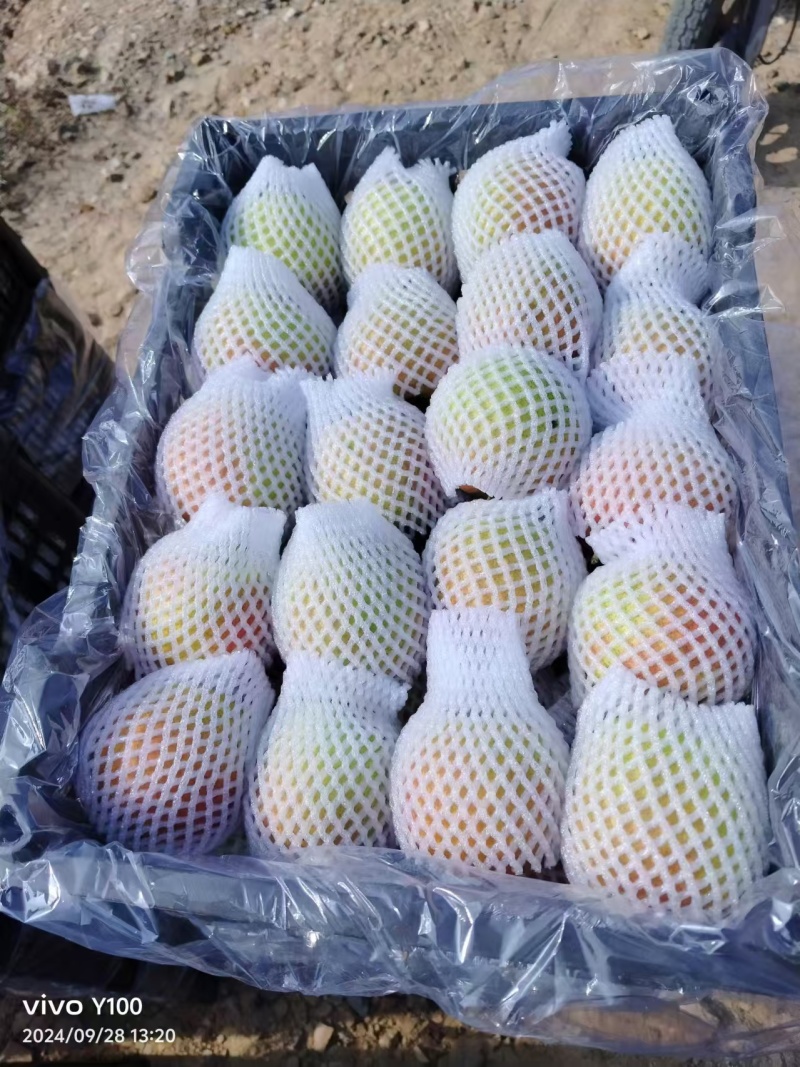 梨红梨红肖梨筐装规格45辽南本地品种，水份充足