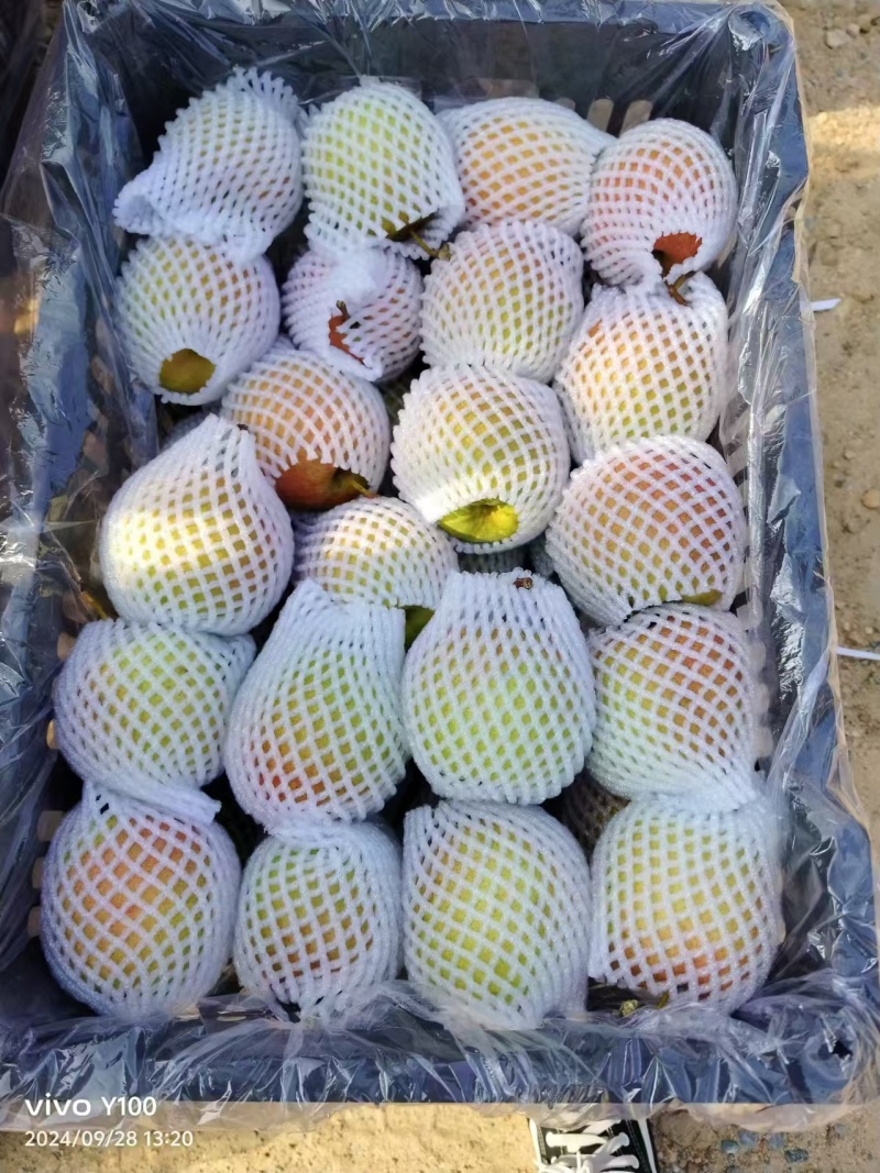 梨红梨红肖梨筐装规格45辽南本地品种，水份充足