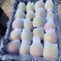 梨红梨红肖梨筐装规格45辽南本地品种，水份充足