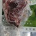 【推荐】正宗内蒙古牛腱子肉量大从优欢迎采购