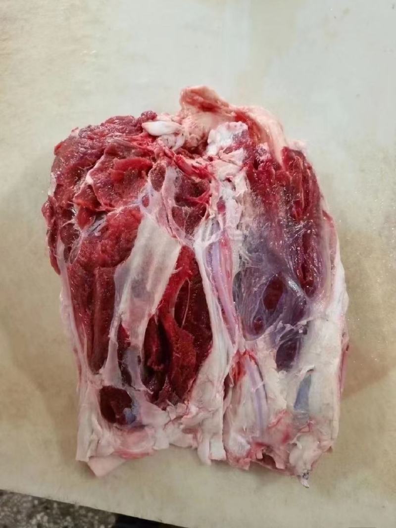 【推荐】正宗内蒙古牛腱子肉量大从优欢迎采购