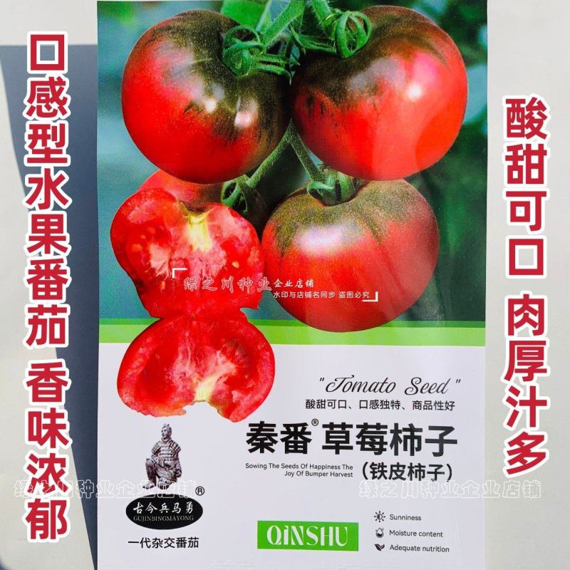 秦番草莓柿子种子酸甜水果番茄种籽西红柿铁皮柿子籽口感番茄