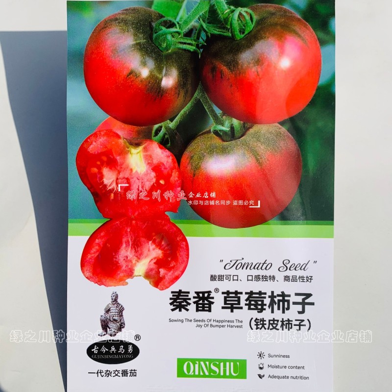 秦番草莓柿子种子酸甜水果番茄种籽西红柿铁皮柿子籽口感番茄