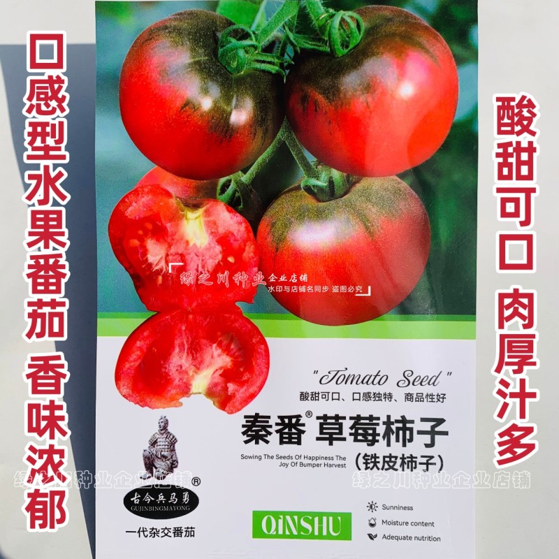 秦番草莓柿子种子酸甜水果番茄种籽西红柿铁皮柿子籽口感番茄