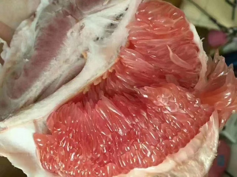 平和琯溪蜜柚